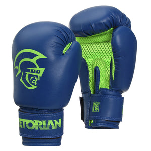 Kit Luva de Boxe e Muay Thai + Saco de Pancadas Pretorian Infantil