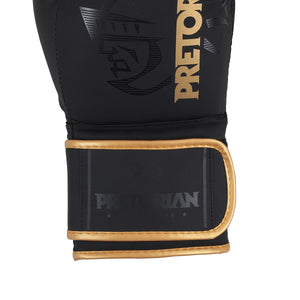 Luva de Boxe e Muay Thai First FX2 Pretorian