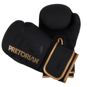 Luva de Boxe e Muay Thai First FX2 Pretorian